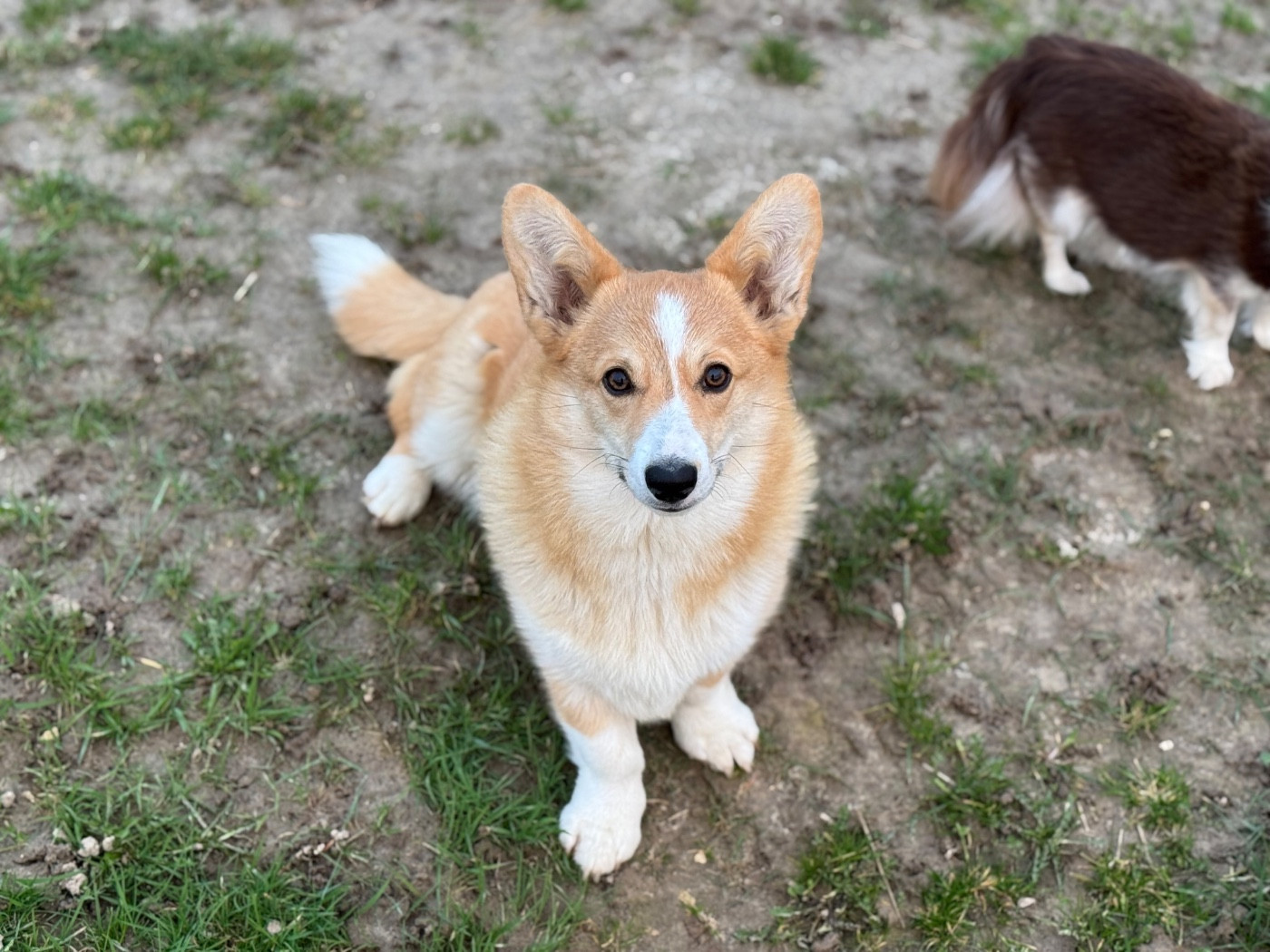 ATOMIC BOMB de la vallée de l'empereur